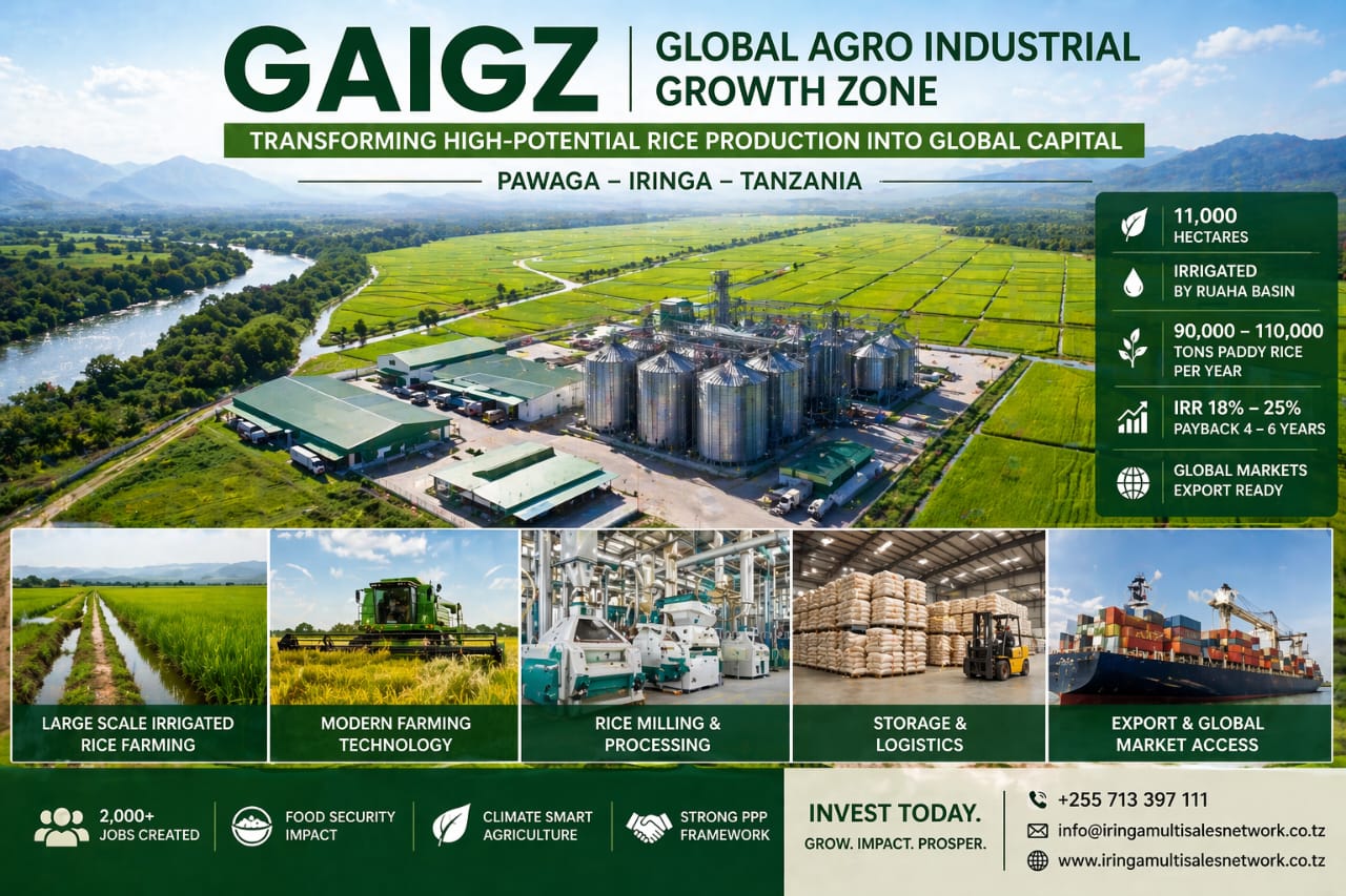 Iringa Stone Investment project image